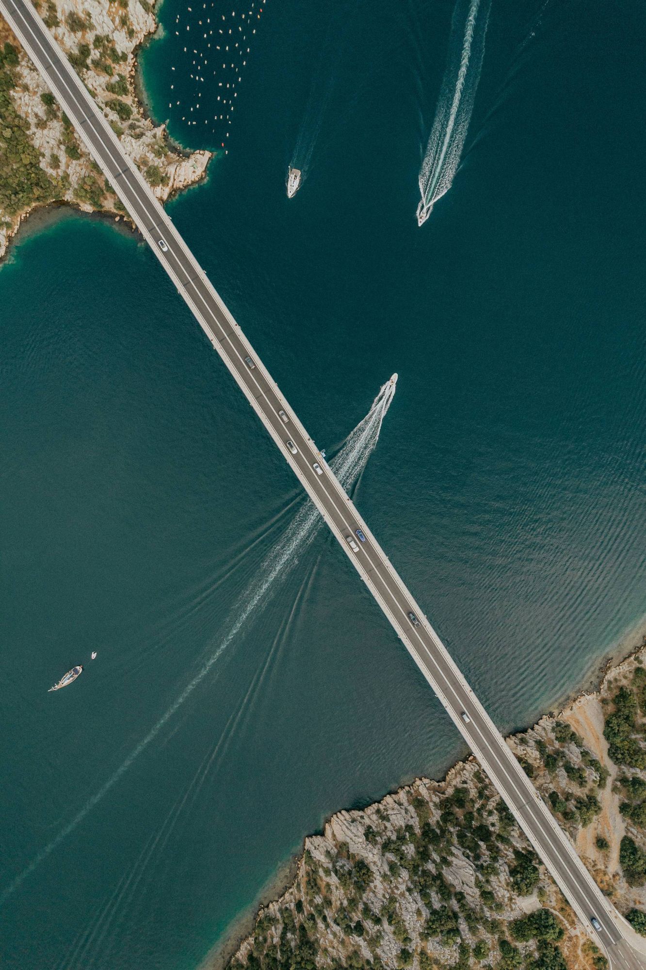Logistics Drives Business Growth